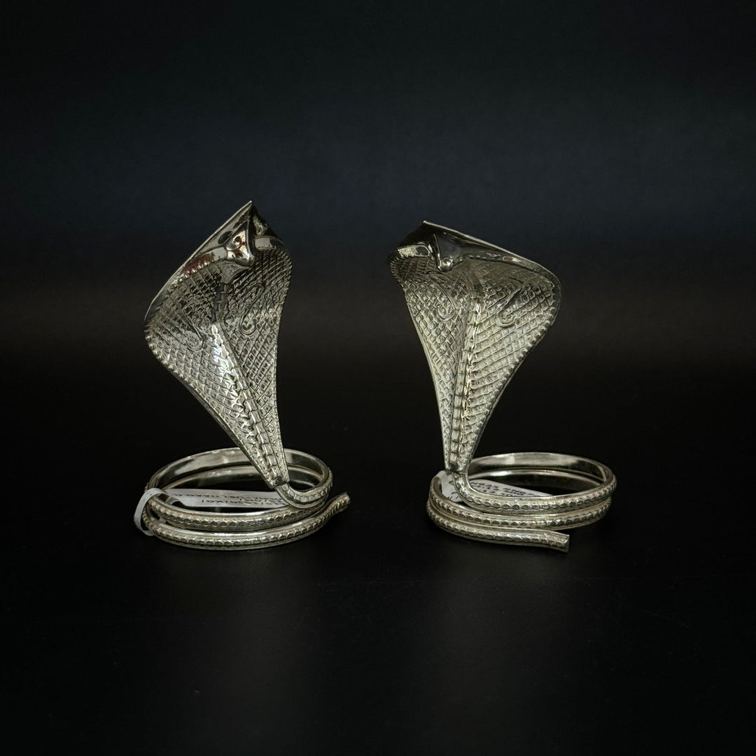 Pure Silver Naag Nagin Joda Snake Pair for Kaalsharp Dosh - Master JewellersSilver Accessories